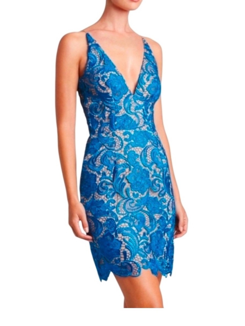 Dress the Population Lace Mini Dress